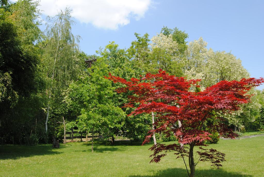 Villa Hedi Dunakiliti Dış mekan fotoğraf