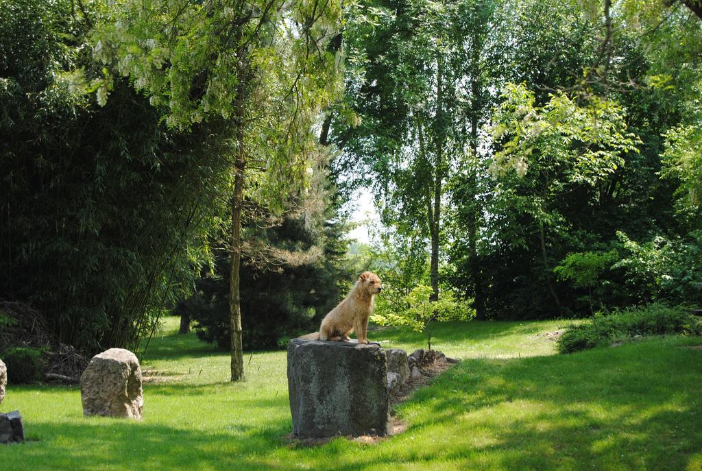 Villa Hedi Dunakiliti Dış mekan fotoğraf