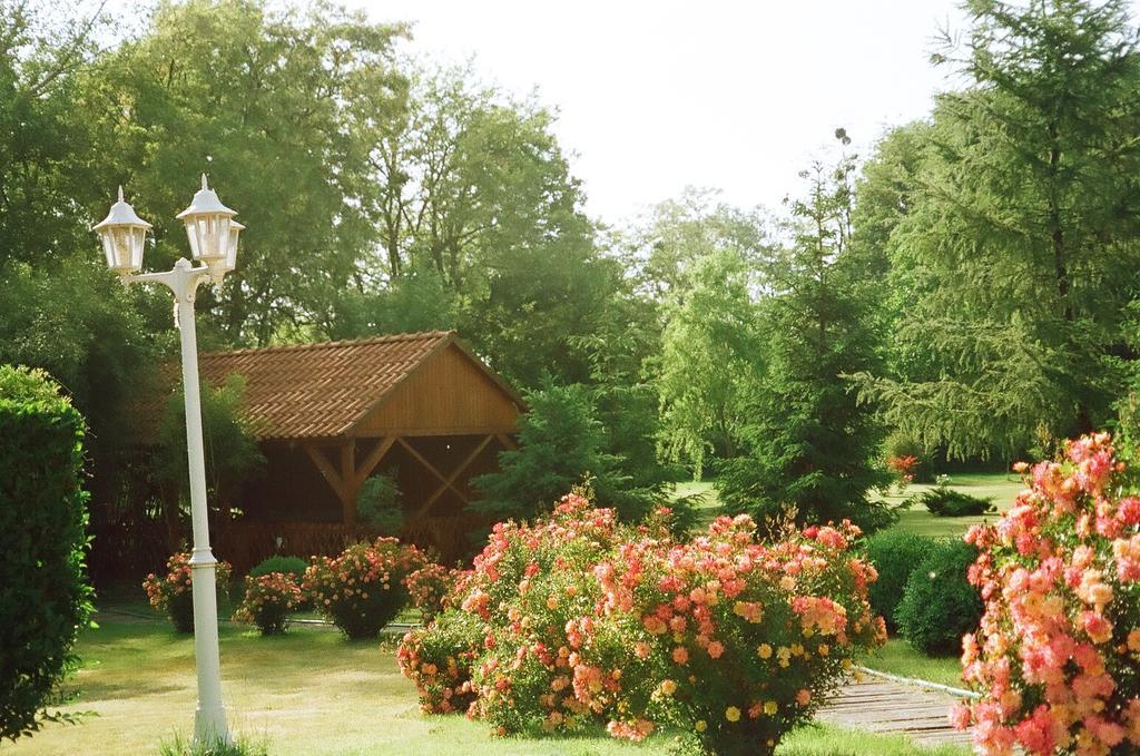 Villa Hedi Dunakiliti Dış mekan fotoğraf