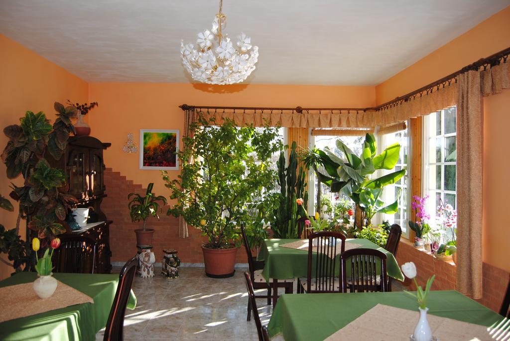 Villa Hedi Dunakiliti Dış mekan fotoğraf