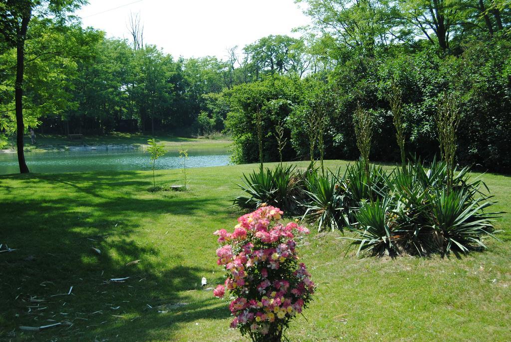 Villa Hedi Dunakiliti Dış mekan fotoğraf