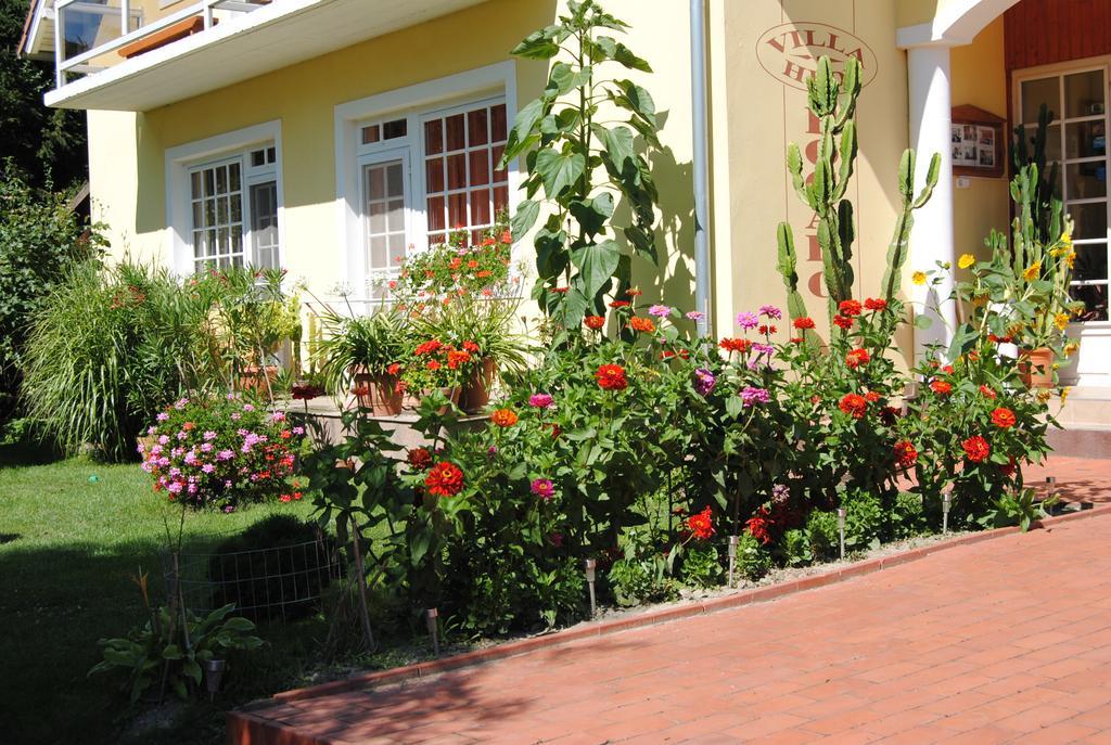 Villa Hedi Dunakiliti Dış mekan fotoğraf