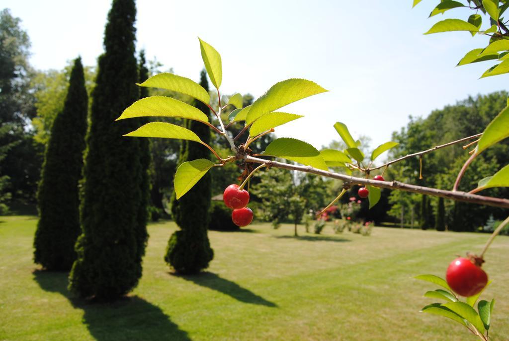 Villa Hedi Dunakiliti Dış mekan fotoğraf