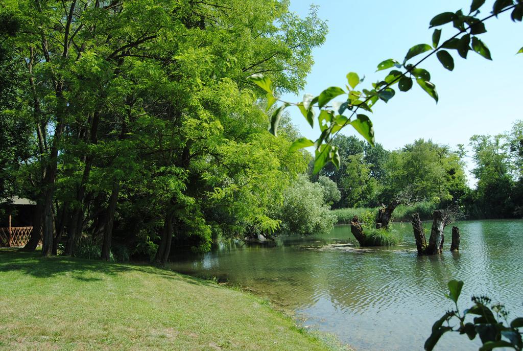 Villa Hedi Dunakiliti Dış mekan fotoğraf